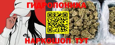 молекула духа Можга