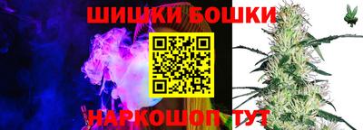 apvp Моздок
